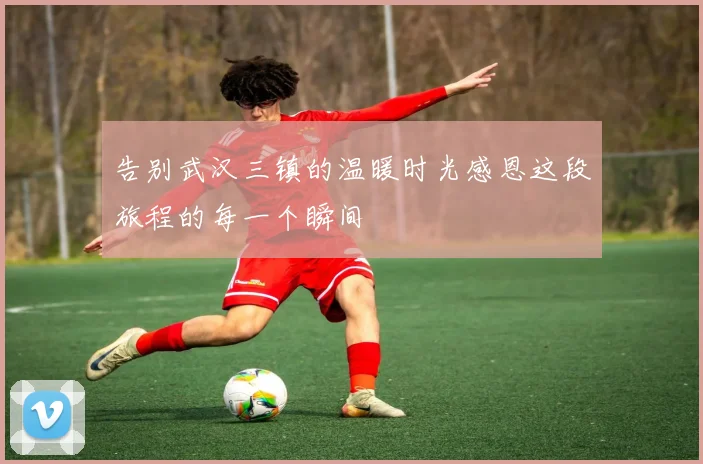 告别武汉三镇的温暖时光感恩这段旅程的每一个瞬间