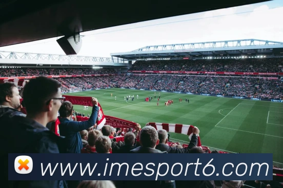 IM电竞APP 封面图